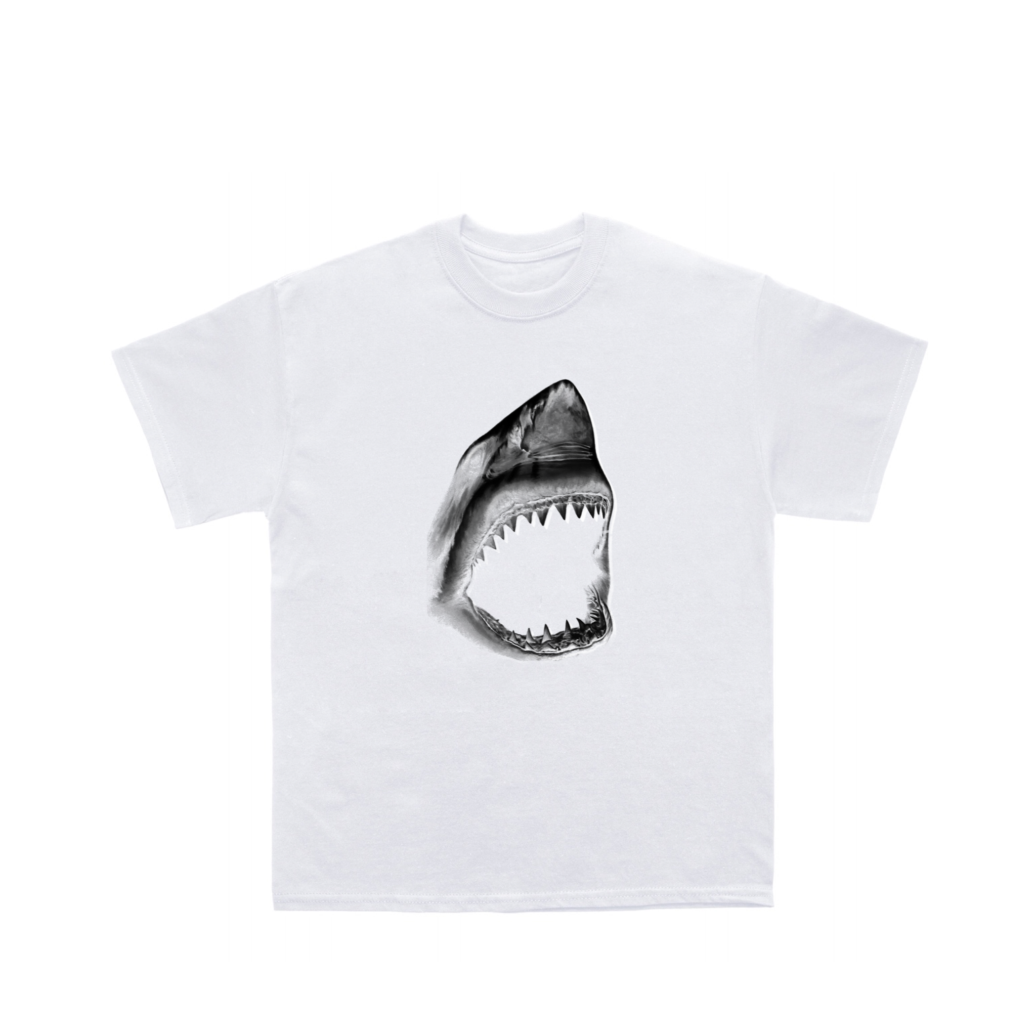 Shark T Shirt